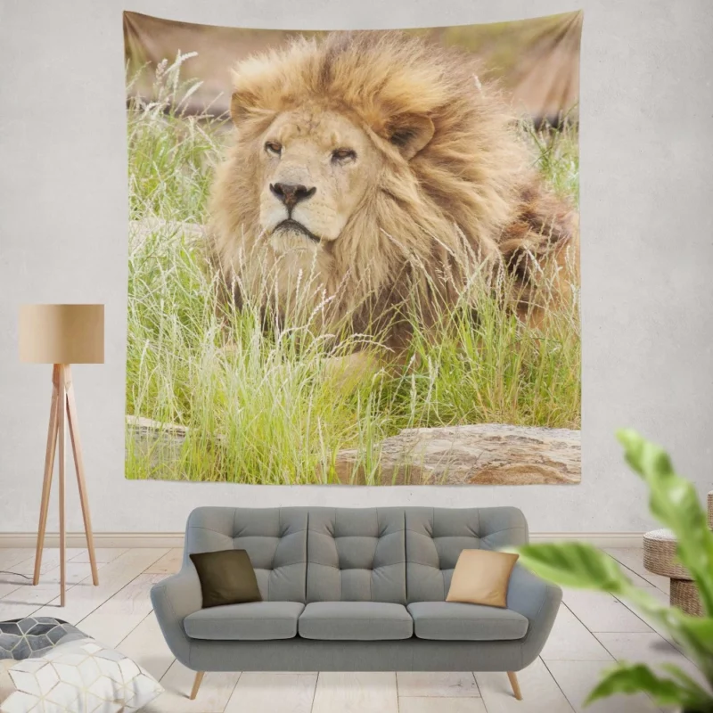 Majestic Lion Amidst Grassland Wall Hanging Tapestry