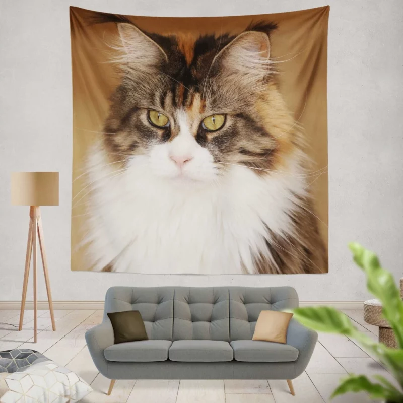 Majestic Maine Coon Feline Royalty Wall Hanging Tapestry