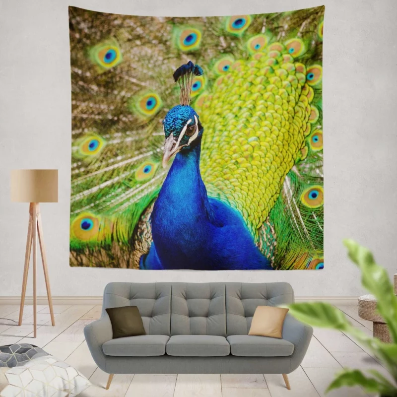 Majestic Peacock in Close-Up Avian Beauty Wall Hanging Tapestry