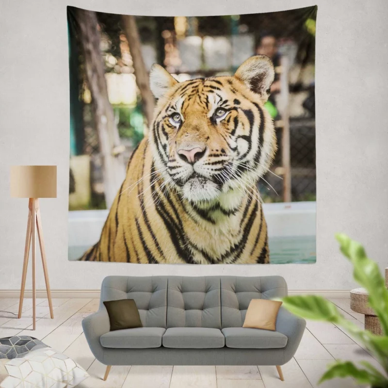 Majestic Tiger Enigmatic Gaze Wall Hanging Tapestry