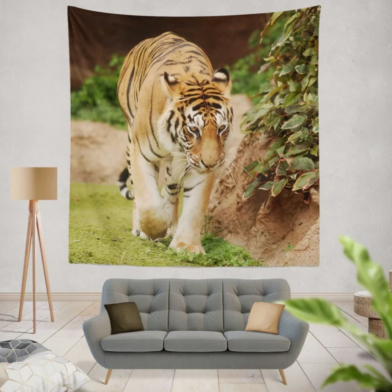 Majestic Tigers Kings of the Wild Wall Hanging Tapestry