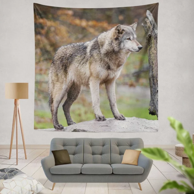 Majestic Wolf Wilderness Presence Wall Hanging Tapestry