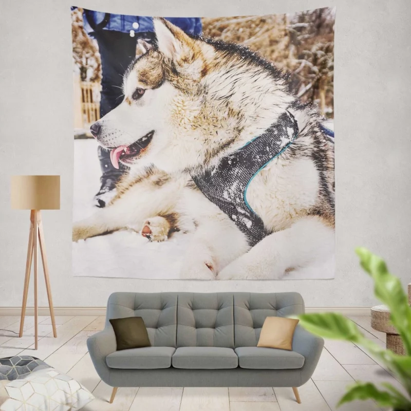 Malamute Snowy Adventure Canine Joy Wall Hanging Tapestry