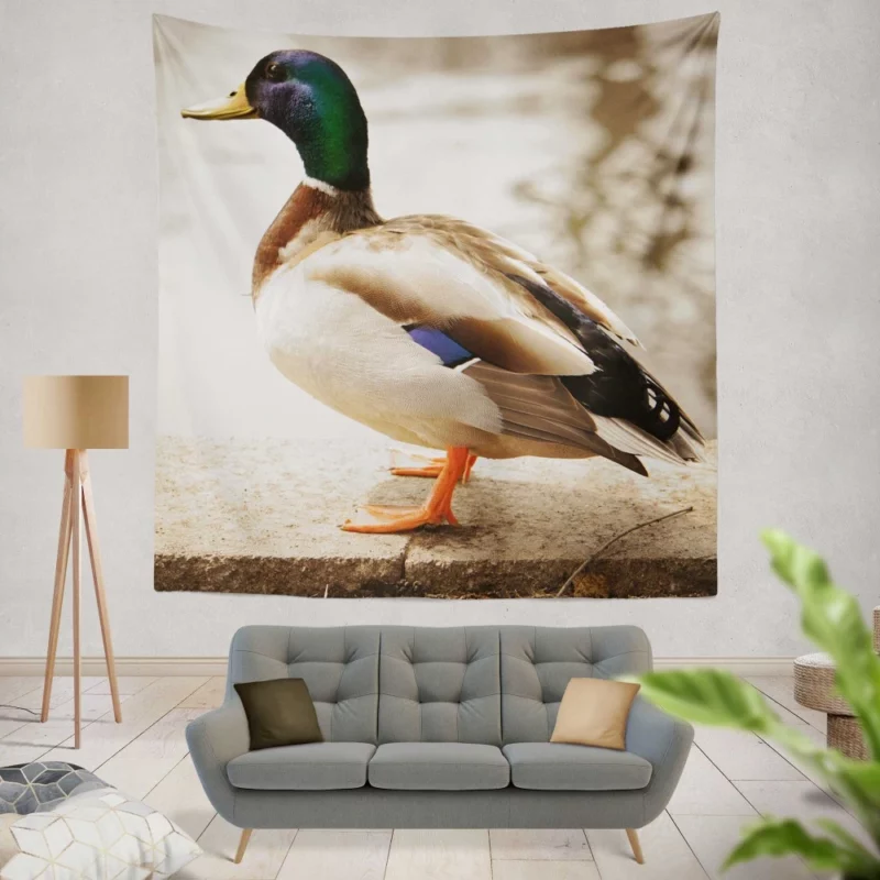 Mallard Waterside Grace Quacking Beauty Wall Hanging Tapestry