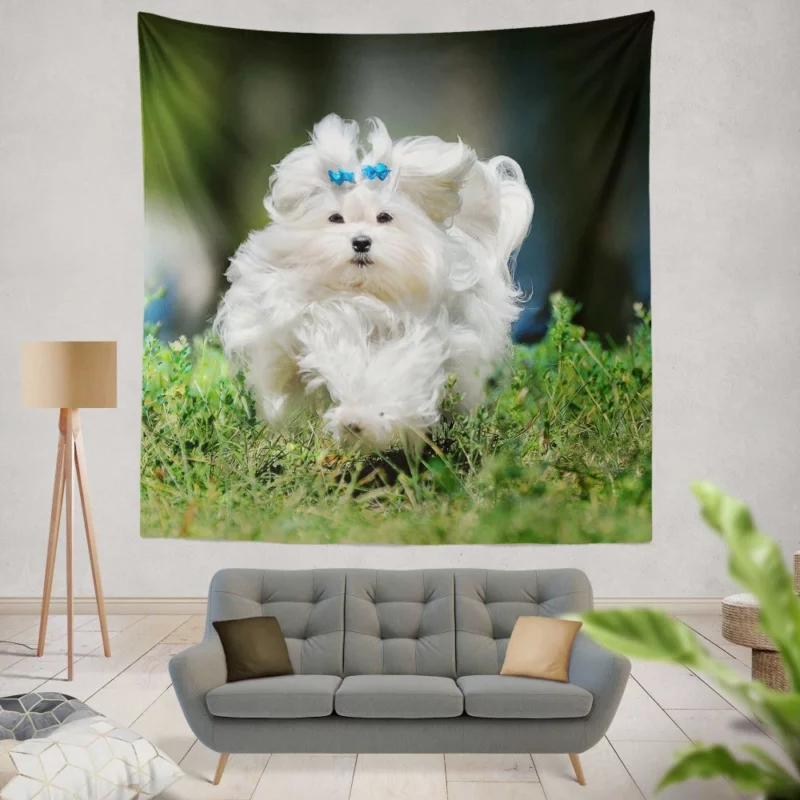 Maltese Fluffy Grace Canine Elegance Wall Hanging Tapestry