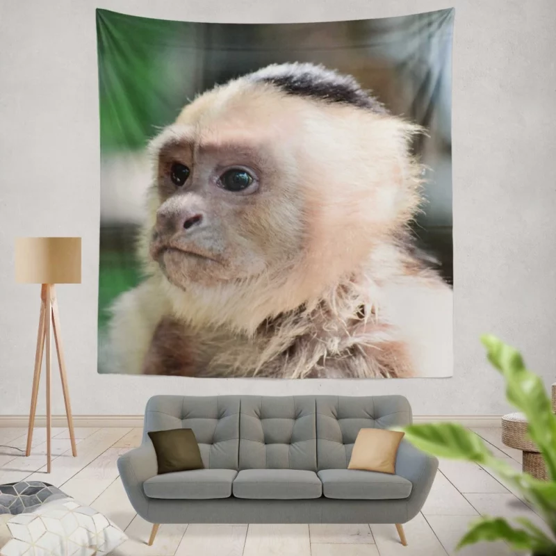 Monkey Curious Antics Primate Playfulness Wall Hanging Tapestry