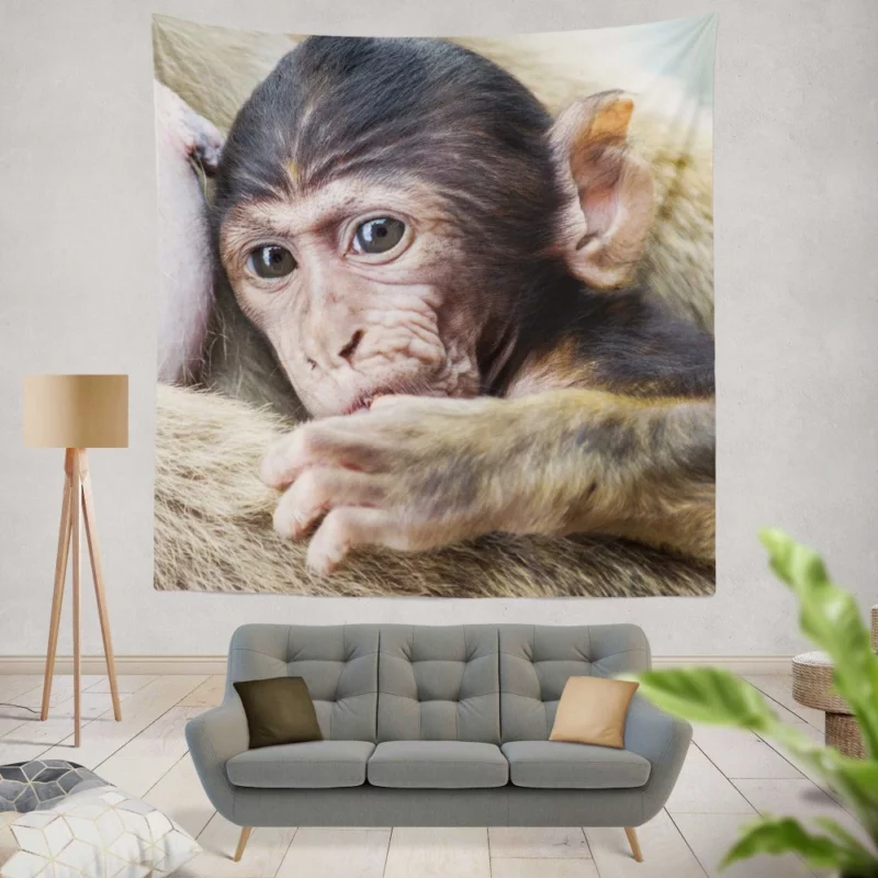 Monkey Innocent Charm Furry Playfulness Wall Hanging Tapestry