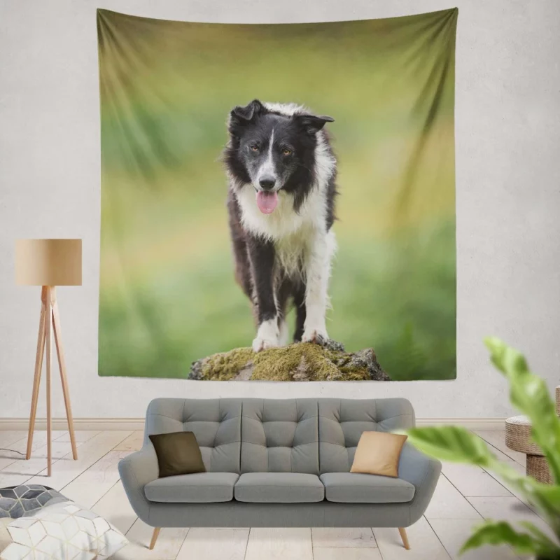 Mountain-Top Delight Border Collie Joy Wall Hanging Tapestry