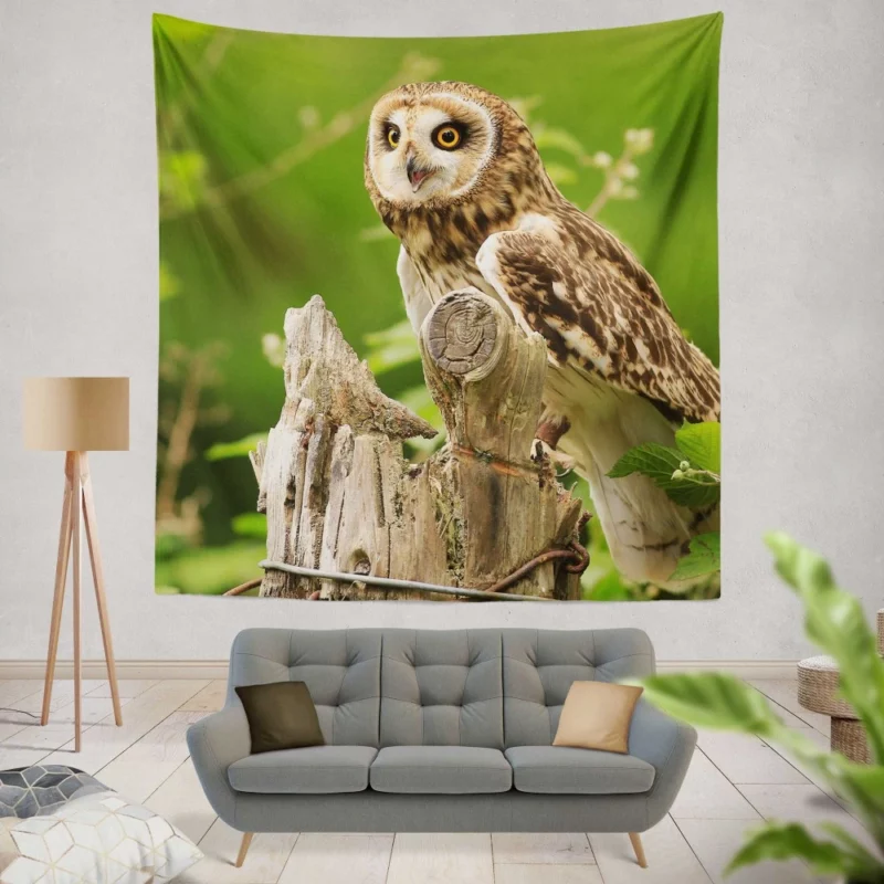 Mysterious Gaze Owl Nocturnal Wonder Wall Hanging Tapestry