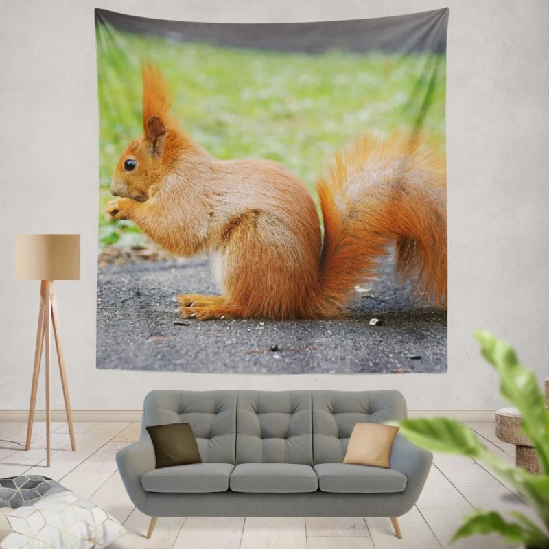 Nature Acrobat Squirrel Playful Moves Wall Hanging Tapestry