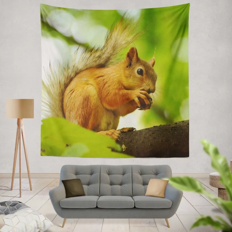 Nature Play Squirrel Acrobatic Feats Wall Hanging Tapestry