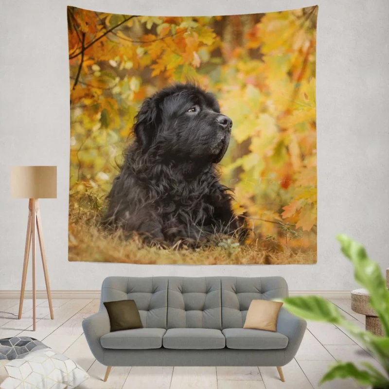 Newfoundland Fall Stroll Majestic Canine Wall Hanging Tapestry