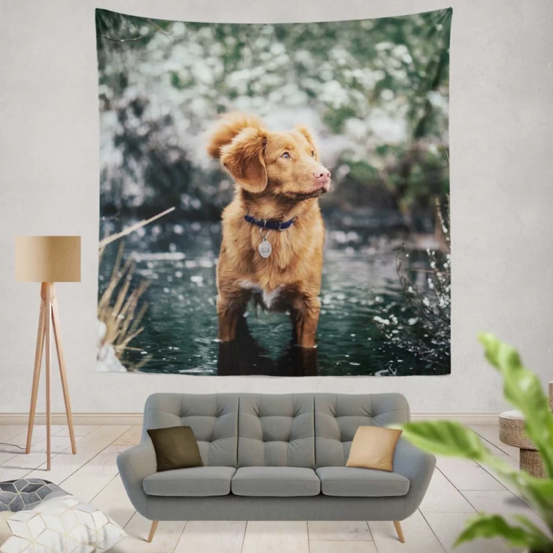 Nova Scotia Duck Tolling Retriever Charm Wall Hanging Tapestry