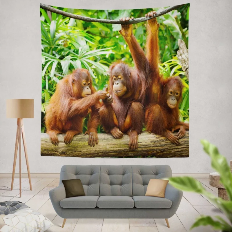 Orangutan Duo Nature Playful Spirits Wall Hanging Tapestry