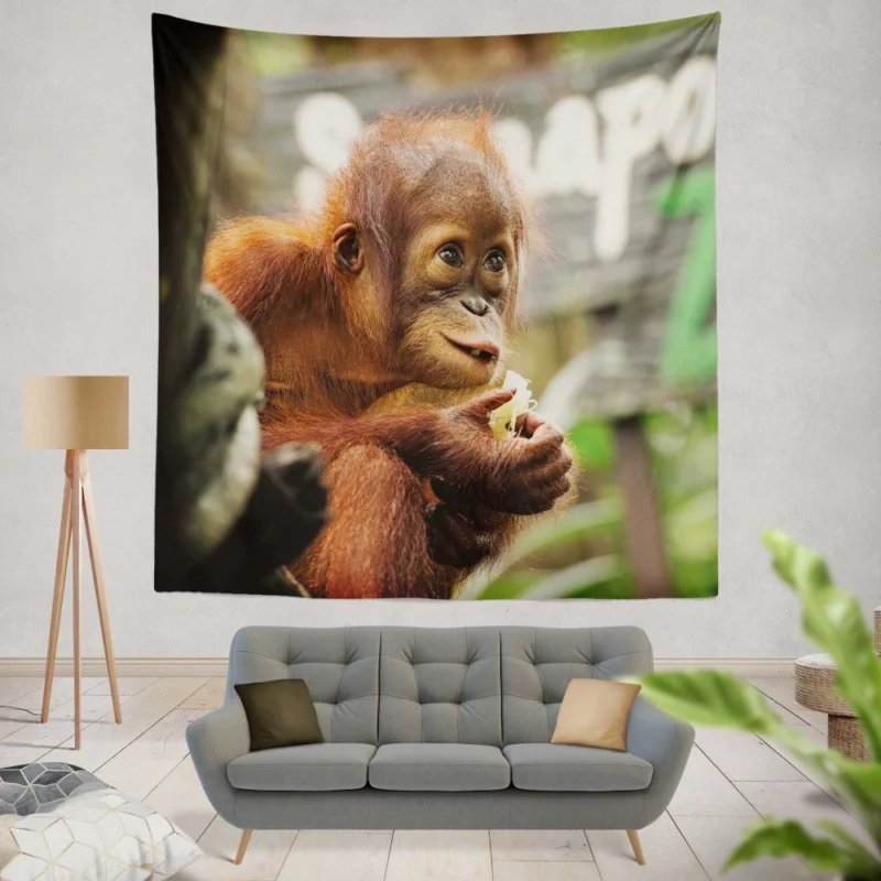 Orangutan Playful Expressions Jungle Joy Wall Hanging Tapestry