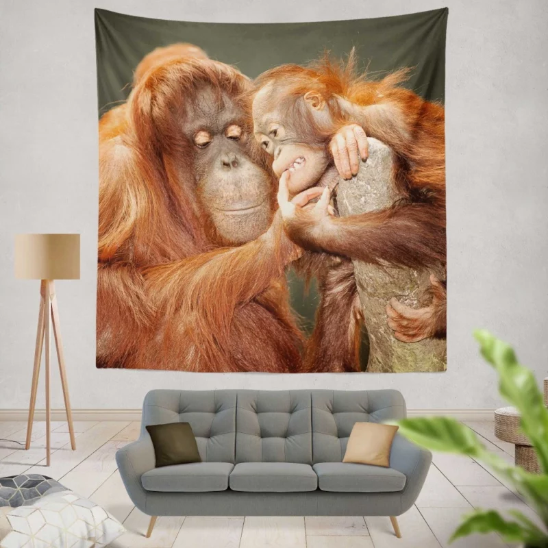 Orangutan Primate Play Curious Innocence Wall Hanging Tapestry