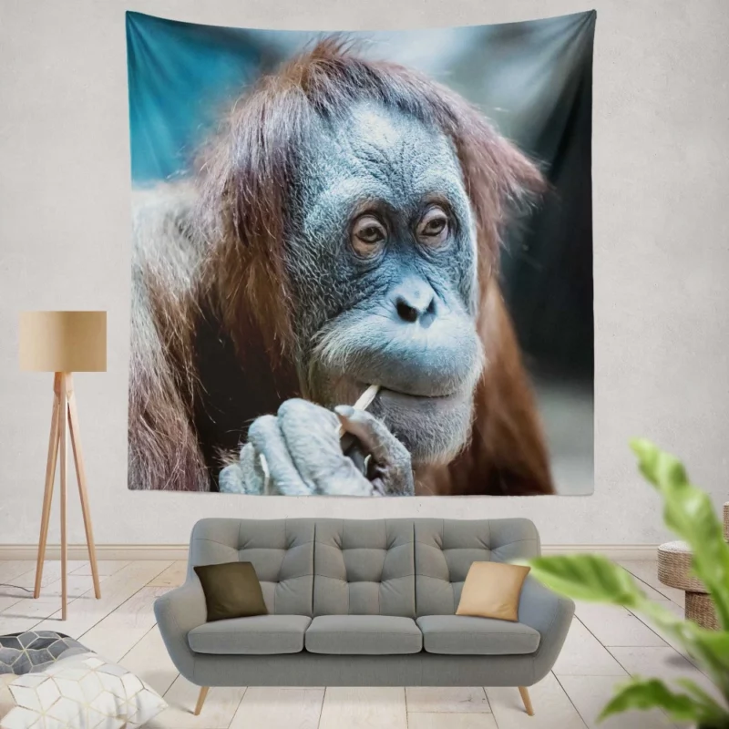 Orangutan Primate Wonder Curious Persona Wall Hanging Tapestry