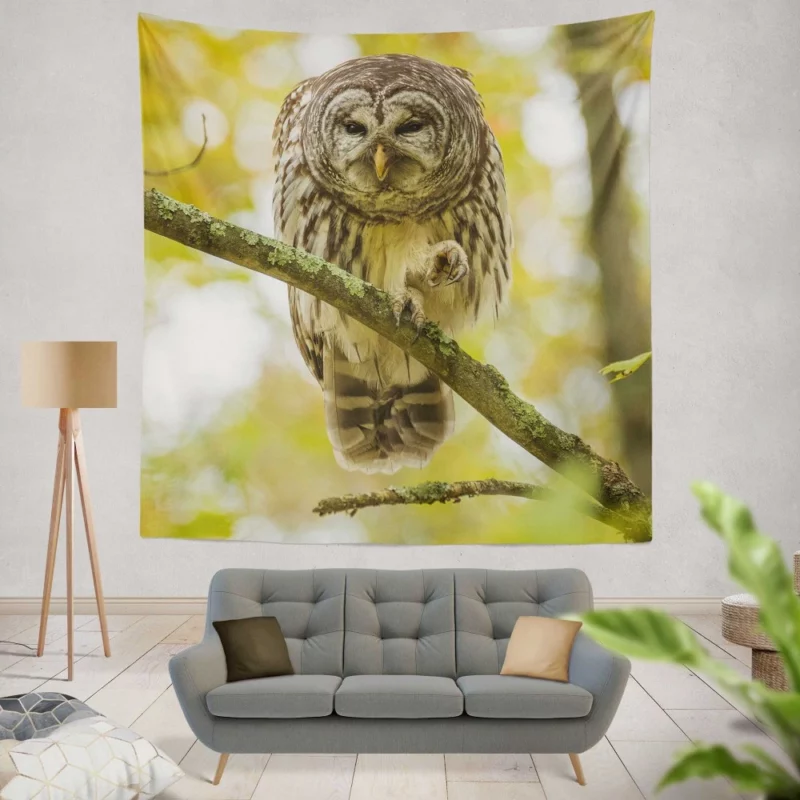 Owl Depth of Field Enigmatic Gaze Wall Hanging Tapestry