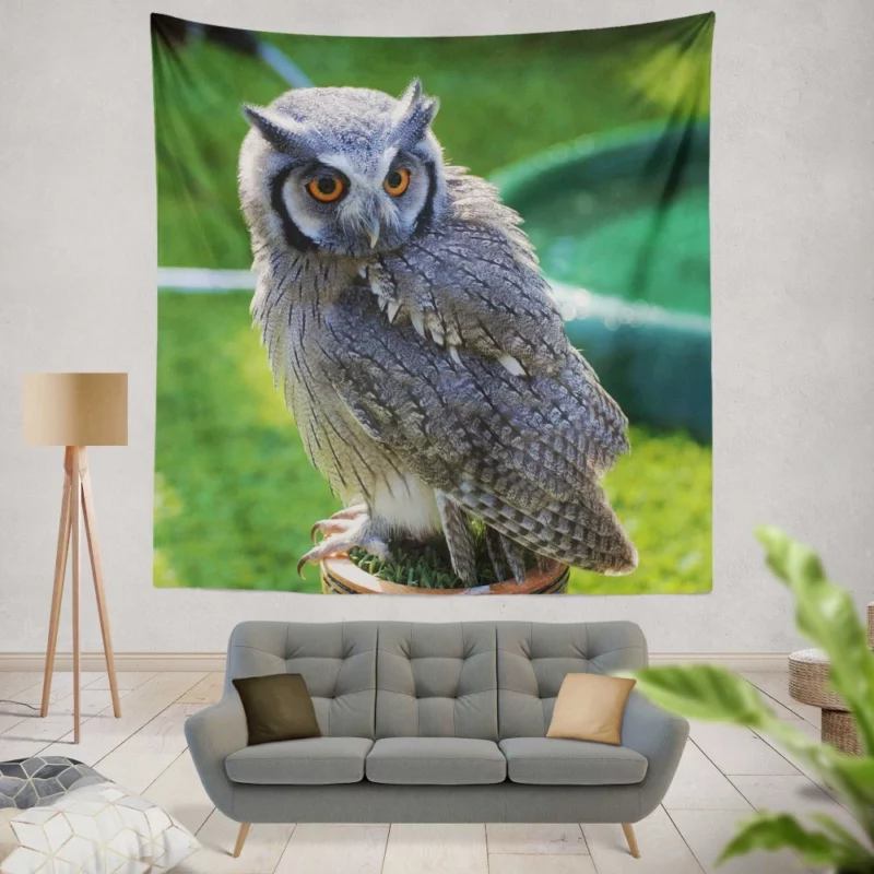 Owl Enigmatic Stare Nocturnal Watch Wall Hanging Tapestry