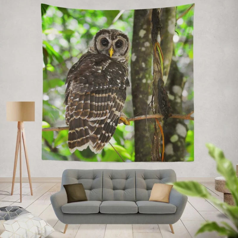 Owl Nocturnal Watch Enigmatic Observer Wall Hanging Tapestry