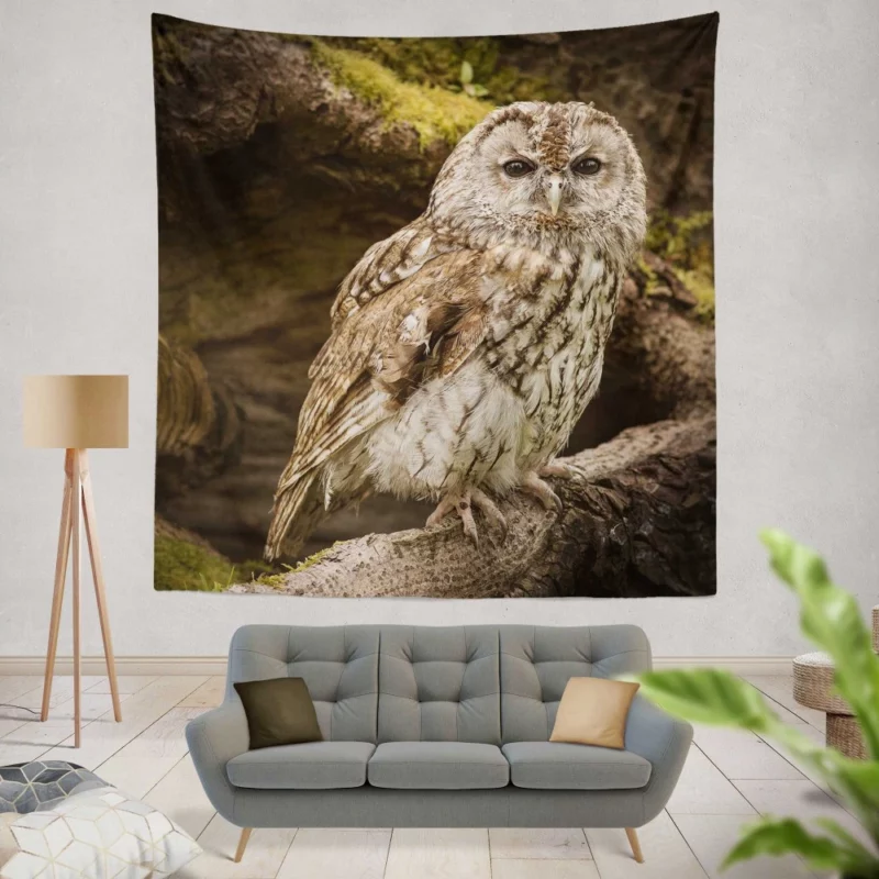 Owl Nocturnal Watch Silent Guardian Wall Hanging Tapestry