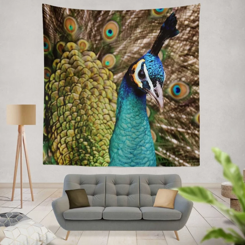 Peacock Colorful Display Nature Art Wall Hanging Tapestry