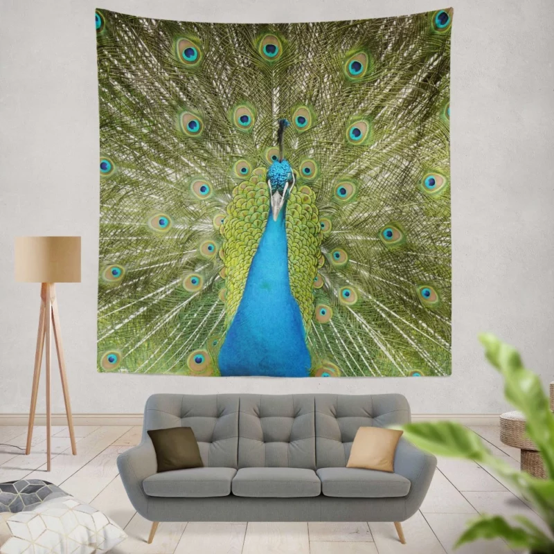 Peacock Dance Vibrant Elegance Wall Hanging Tapestry