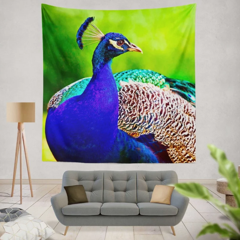 Peacock Exotic Vibrant Beauty Wall Hanging Tapestry