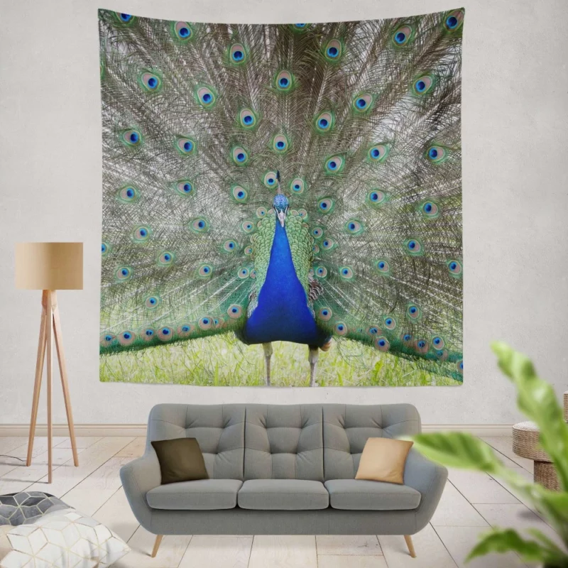 Peacock Radiant Plumage Avian Beauty Wall Hanging Tapestry