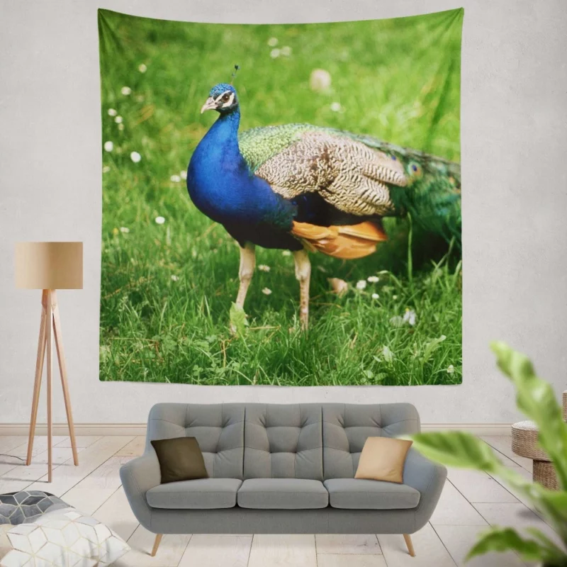 Peacock Splendor Nature Jewel Wall Hanging Tapestry