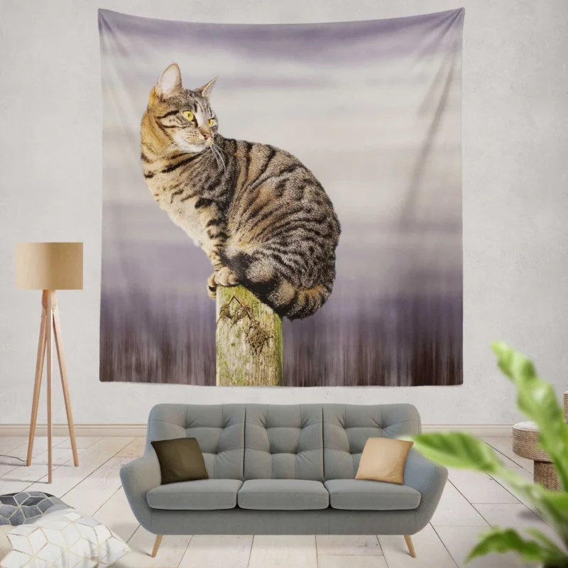 Perched Cat Watchful Stance Wall Hanging Tapestry