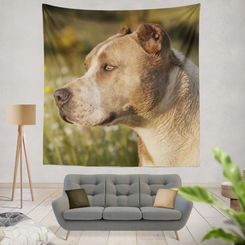 Pit Bull Intense Close-Up Bold Beauty Wall Hanging Tapestry