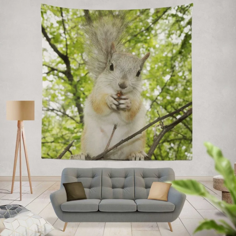 Playful Acrobatics Squirrel Nature Dance Wall Hanging Tapestry