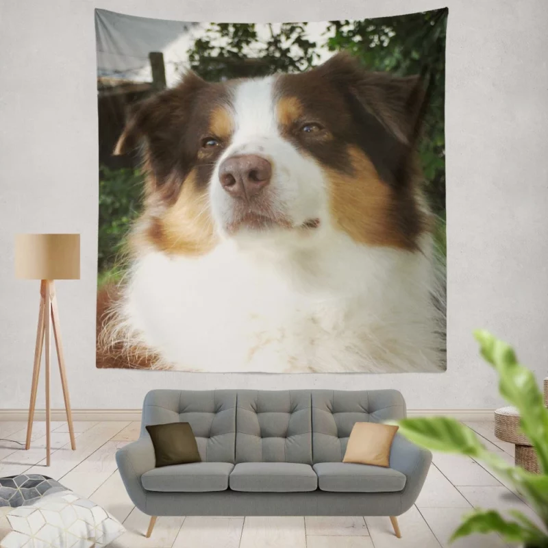 Playful Australian Shepherd Furry Charm Wall Hanging Tapestry