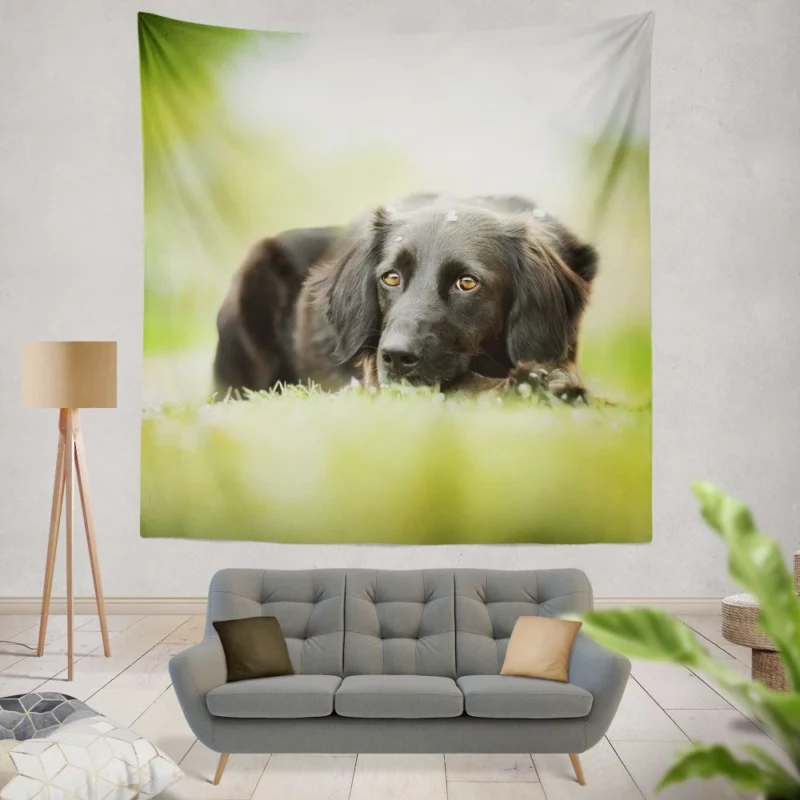 Playful Black Dog Furry Charm Wall Hanging Tapestry