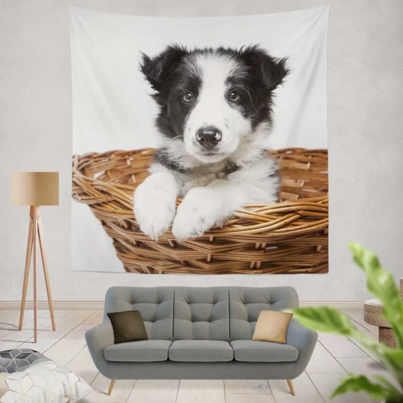 Playful Border Collie Puppy Innocence Wall Hanging Tapestry