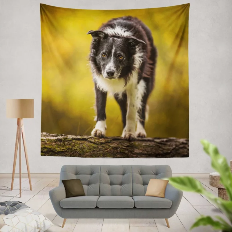 Playful Border Collie in Autumn Beauty Wall Hanging Tapestry