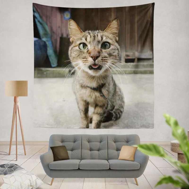 Playful Gaze Curious Cat Whisker Wonder Wall Hanging Tapestry