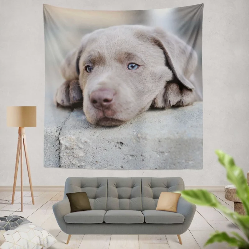 Playful Weimaraner Puppy Furry Joy Wall Hanging Tapestry