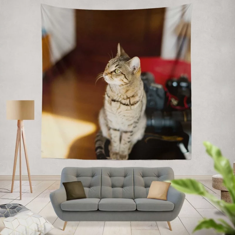 Polite Pause Feline Etiquette Wall Hanging Tapestry