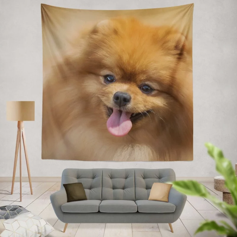 Pomeranian Playful Charm Furry Antics Wall Hanging Tapestry