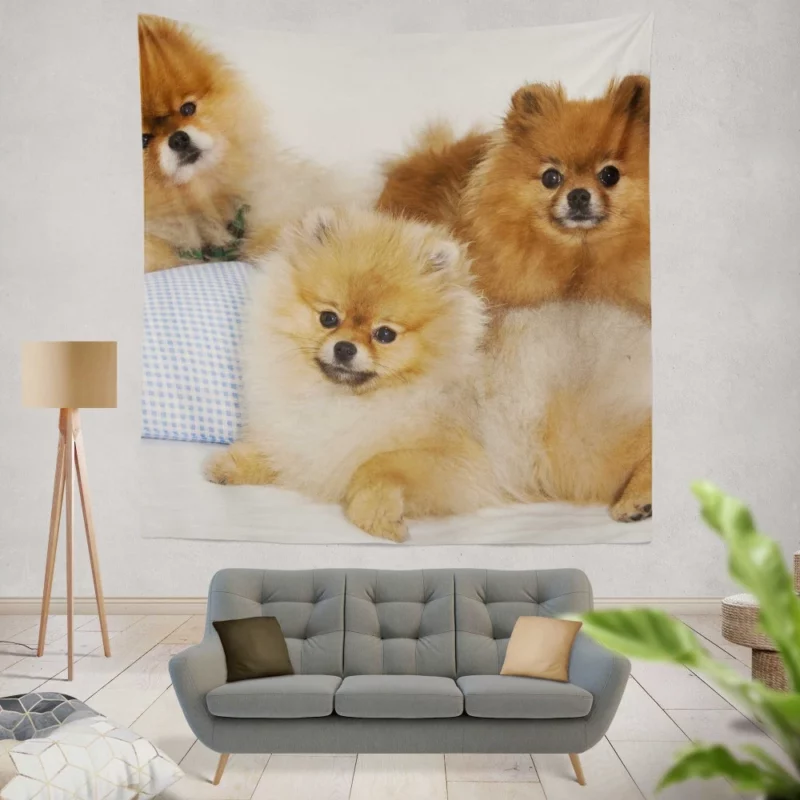 Pomeranian Playful Charm Wall Hanging Tapestry