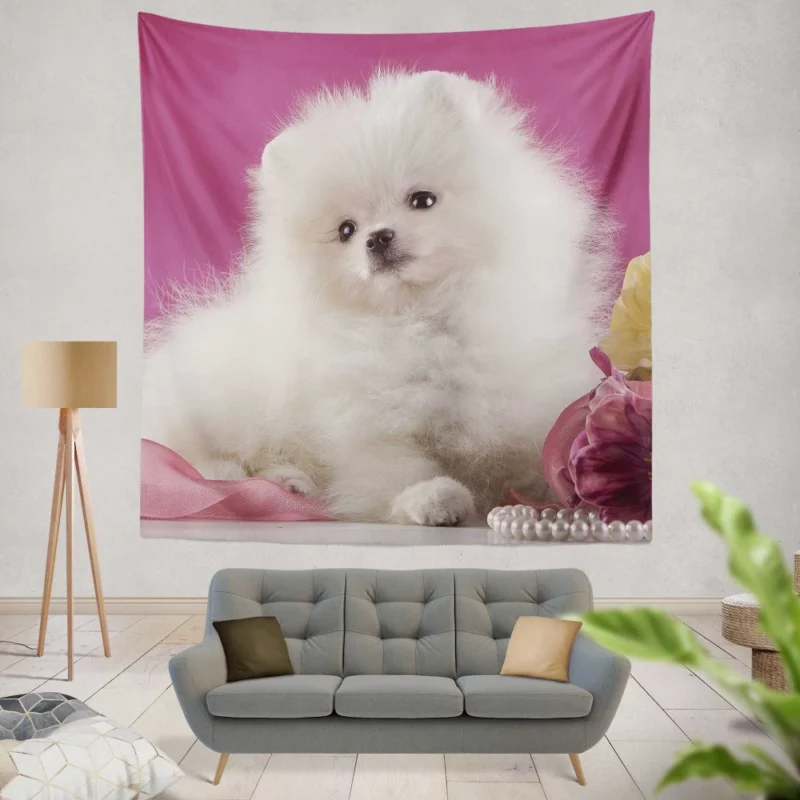 Pomeranian Puppies Pearl Play Furry Innocence Wall Hanging Tapestry