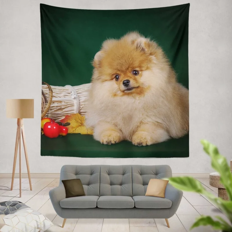 Pomeranian Puppy Fluffy Charm Wall Hanging Tapestry