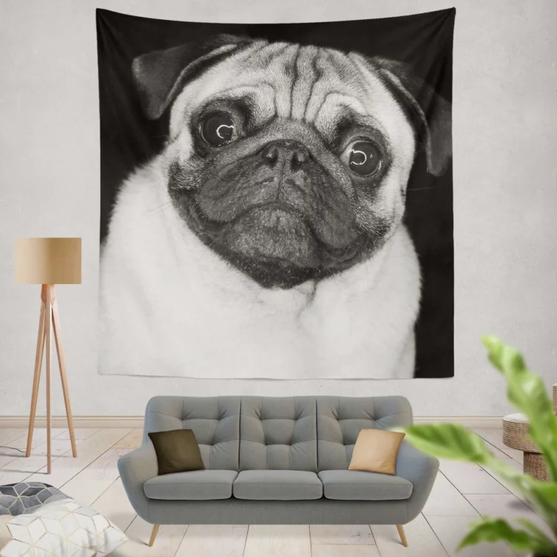 Pug Posing Perfection Playful Poses Wall Hanging Tapestry