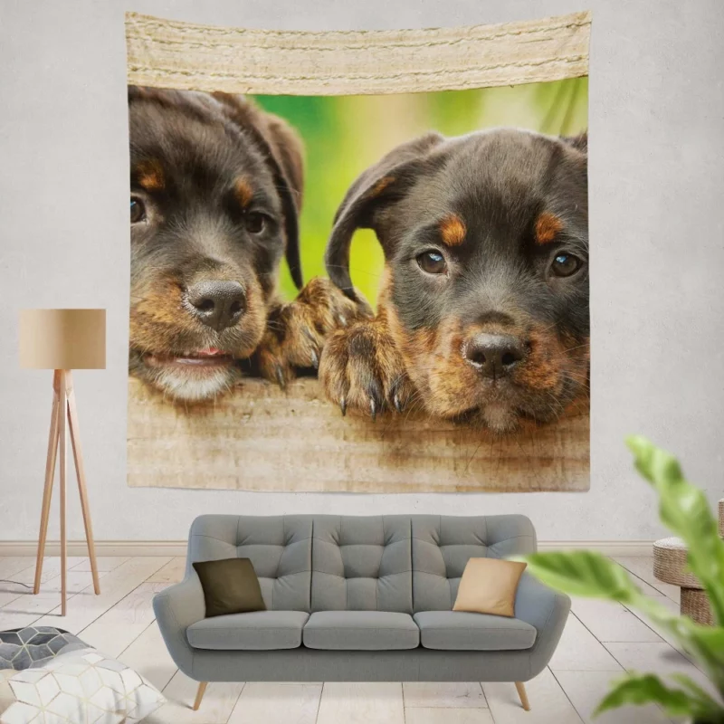 Puppy Innocence Rottweiler Playfulness Wall Hanging Tapestry