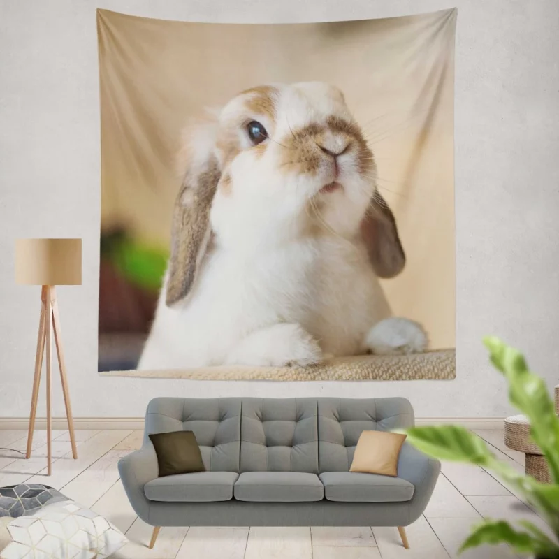 Rabbit Plea Hooman Give Food! Wall Hanging Tapestry