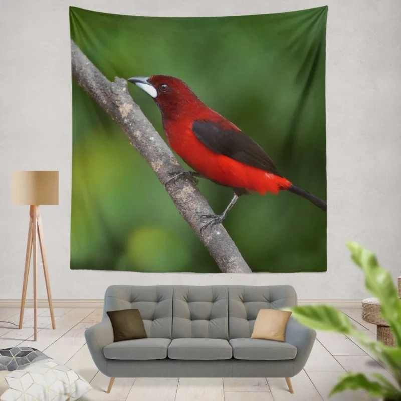 Ramphocelus dimidiatus Vibrant Tropical Bird Wall Hanging Tapestry