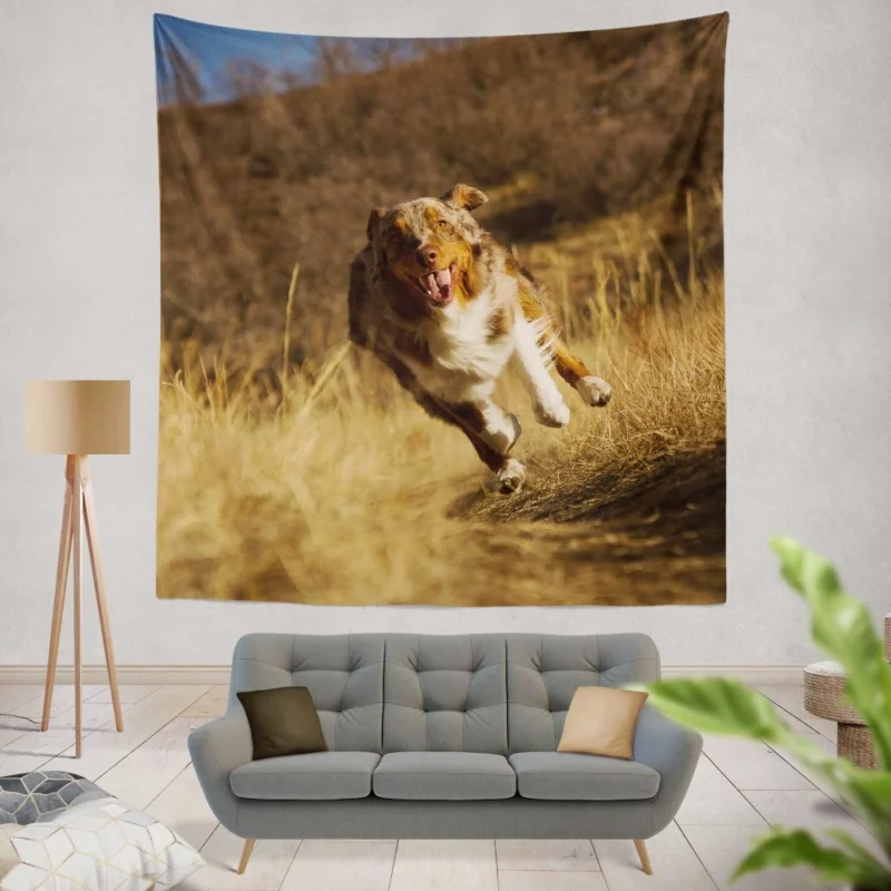 Red Merle Australian Shepherd Meadow Run Wall Hanging Tapestry