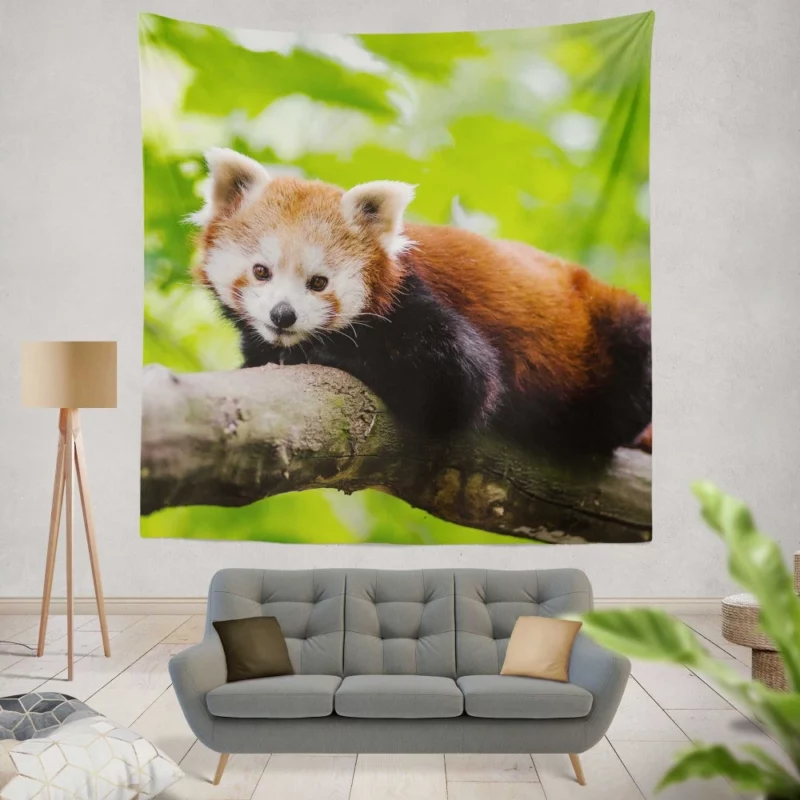 Red Panda Captivating Charm Furry Elegance Wall Hanging Tapestry